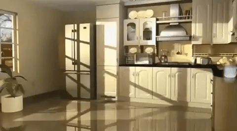 WD™ Ongediertebestrijdingsmiddel - Beschermt uw huis tegen ongedierte